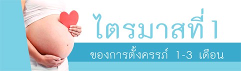 การดูแลคุณแม่ตั้งครรภ์และพัฒนาการทารกในครรภ์