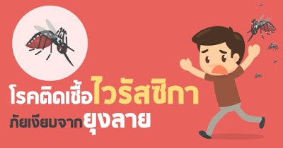 โรคติดเชื้อไวรัสซิกา ภัยเงียบจากยุงลาย