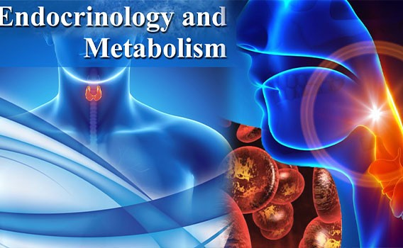อายุรกรรมโรคต่อมไร้ท่อและเมตะบอลิสม (Endocrinology and Metabolism)