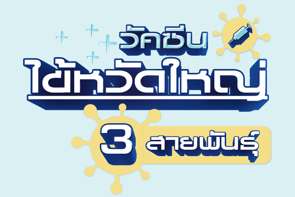 วัคซีนไข้หวัดใหญ่ 3 สายพันธุ์