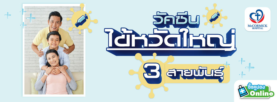 วัคซีนไข้หวัดใหญ่ 3 สายพันธุ์